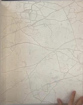 AdaWall RoKa 23107-1 Duvar Kağıdı